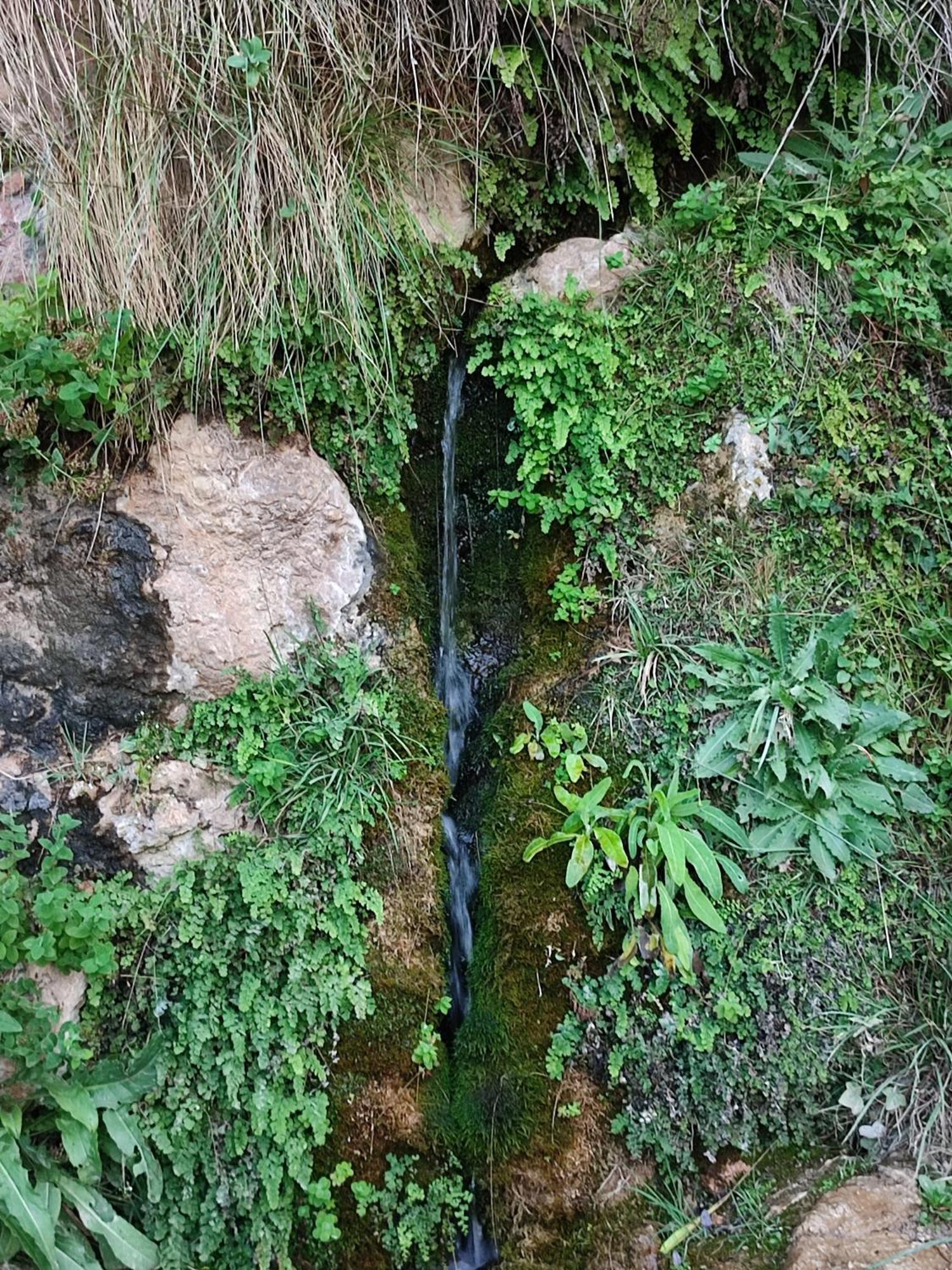 El Canton Bogarra Luaran gambar